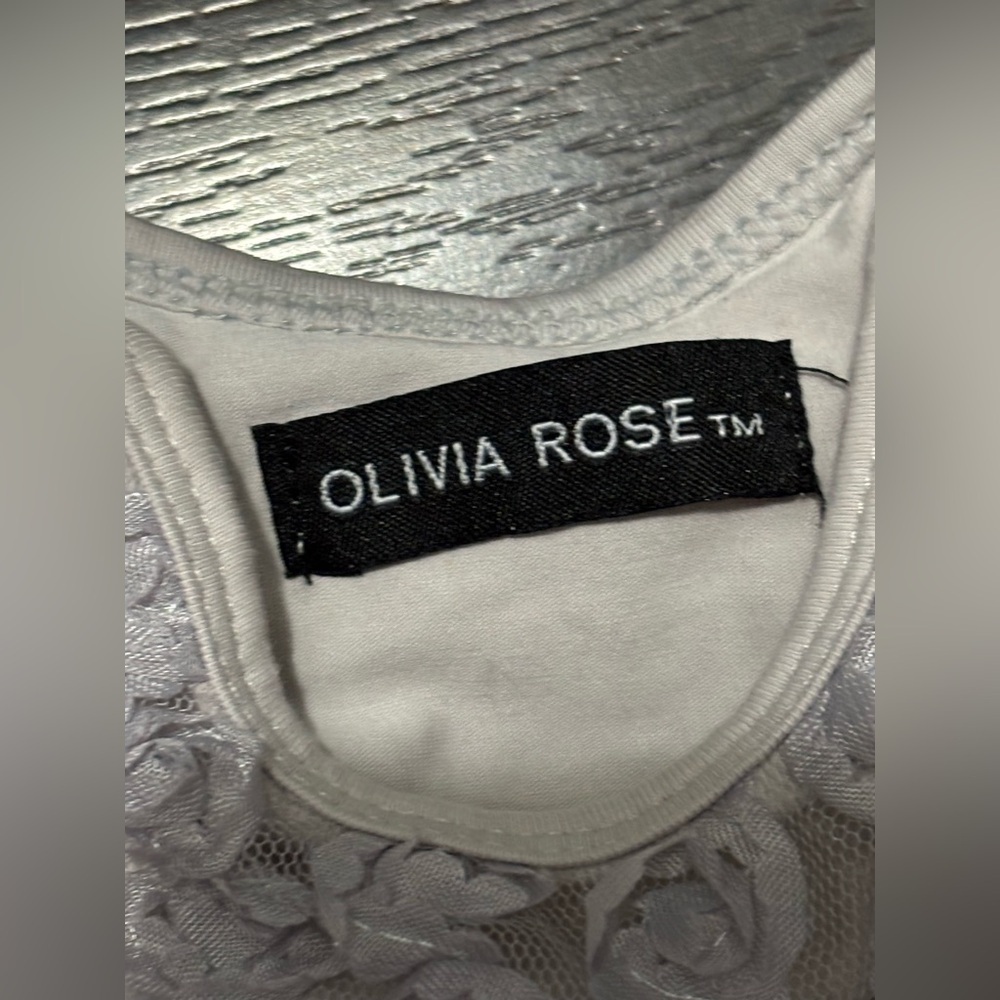 Olivia Rose Fancy Christmas Baby Dress onesie Grey Tulle size 3-6 months - Picture 4 of 5